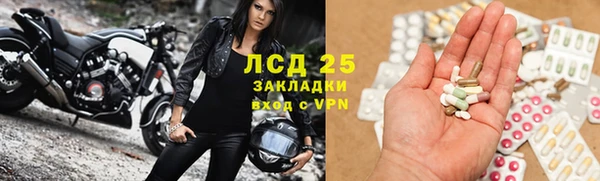 амф Корсаков